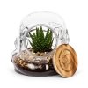 Star Wars - Szklane terrarium słoik Stormtrooper 